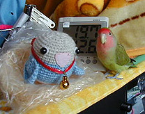 �ӂ����˂������Ɓ�