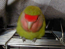 ���[�́[��[���[���[���[���[�܁[���[���`�E�E�E