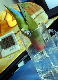 �������̂����̕����A�������`���Ă΁I