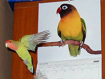 ���N�������ς��H�΂�������A��낵���˂��I