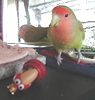 ���A�L��������񂾂���N���ā`�I�����ځ`�I