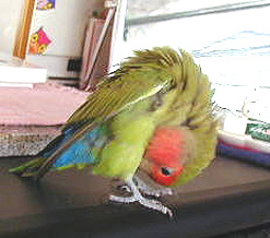 ����������A����������I���O���O���O�B�B�B