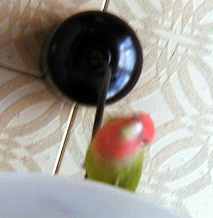 �܂܁[�A��������`�I�I