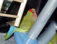 �ڂ��A�����Ƃ���ɍs���Č��悤�Ǝv���Ă����I