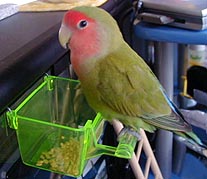 �����͊��������񂾂�[�I