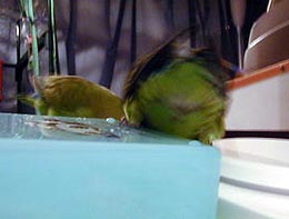 �̏d�v��������܂��悧�`�I