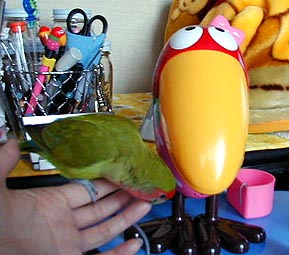 �܂܂��L���������A�����Ȃ񂾂��ā[�I