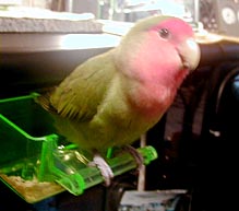 �܂܁[�A�������Ɉ��������ˁI�E�E�E�|���|���|����