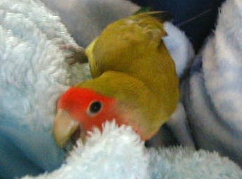 �}�}���E�^�^�l���邩�炢���Ȃ��񂾂����`��I