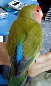 �Ȃ�ŁA�������񔲂���������̂��Ȃ��H�H�H