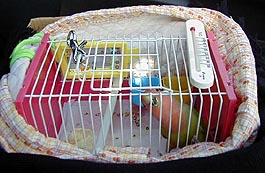 �����s�����悧�`�I