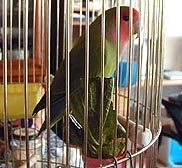 �������ȃP�[�W�ɓ���Ă���������ł��A�ْ��E�E�E