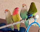 �́A���߂܂��ā`�A�����ł����B�B������炩�ȂɁB�B