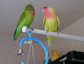 ���`�A�������ɂ�����䂢���˂�����񂽂�������Ȃ��`�B�B