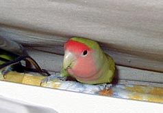 �܂܂Ɏ���ꂽ�󂶂�Ȃ��񂾂��ǂˁB�B