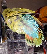 ���ꂻ��`�I