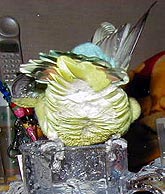 �����茩����������`�n�Y�J�V�`�I