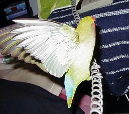 �ււցA����[���ł����