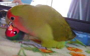 �R�U�N������`���