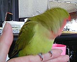 �������႟�`�I