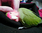 �܂܁A�J�L�J�L���Ă������Ⴂ�B