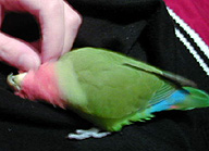 ������`�A���������`��