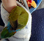 �����ɓ����H