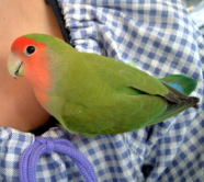 ���ւց􂱂�����̂��D���Ȃ񂾁�