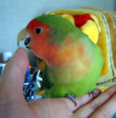 ���Ԃ��`�I�����Ⴄ�������I