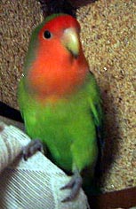 �܂܂��A�ǂ����s���̂��I�H