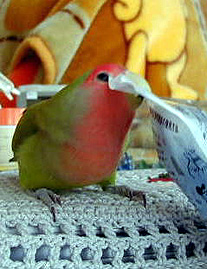 �܂܁`�A����̎��Ԃł���`�I