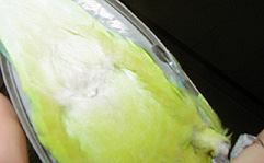 �܂܂����炟�`�I�͂��ォ�����悧�`�B�B(#^_^#)