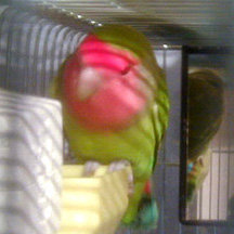 ���܂����H���āA���ꂪ�����񂾂����`��B�B