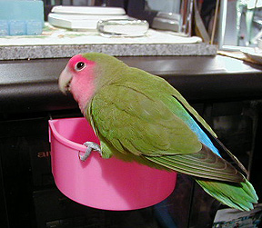 �ȂɂȂɁA�����H���v������I