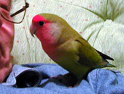 �܂܂̂��Ɓ[�����A�ŋߒ��ǂ��Ȃ񂾂���