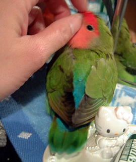 �܂܁A���x�݂̓��ł����Q���N�����Ă˂��I