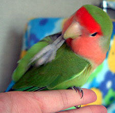 ������`�A��͂������I�Ȃ񂾂�Ȃ��`�B�B