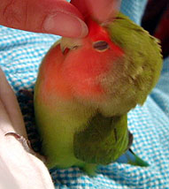 ������ݏo�Ȃ��o�Ȃ��`�E�E�E���܂��Ȃ����I���������`��