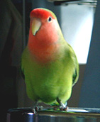 �������[����񂪂����`�����������������񂾂悧�[�B