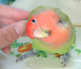 ����E�E�E�H�H�H