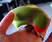 �܂܂̂ˁA����A�����ĂčD���Ȃ́�