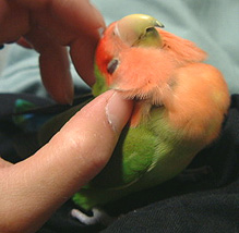 �܂܁`�A���������`�@���������̂��`