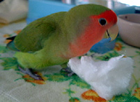 �􂫂��􂫂��􂫂���