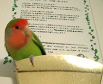 �����ˁA�ڂ��̂��C�ɓ���̏ꏊ�Ȃ́B