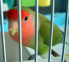 �����ς��H�ׂĂ��`�I