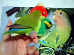 �u�[�u�[�I�O�[�O�[�I