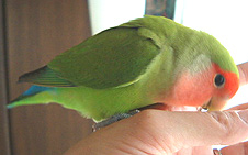 �܂܁`�􍡓��͂��d���A���x�݂ˁ�