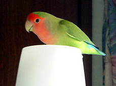 ���܂�Ȃ������[��I�E�E�E�g�N�g�N�g�N�g�N�g�N�E�E�E