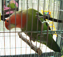 �W���W�����Ă��Ȃ�A�A�A�o���āH