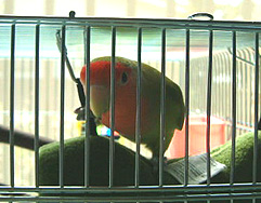 ���������A���ꂾ�����܂��͂��I